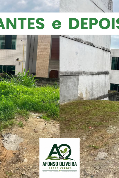 limpeza-de-lote-em-barcarena