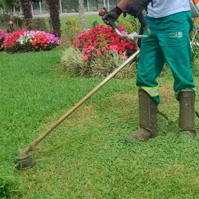 raiz_florestal_rocadas_limpeza_areas_mafra_monte_castelo